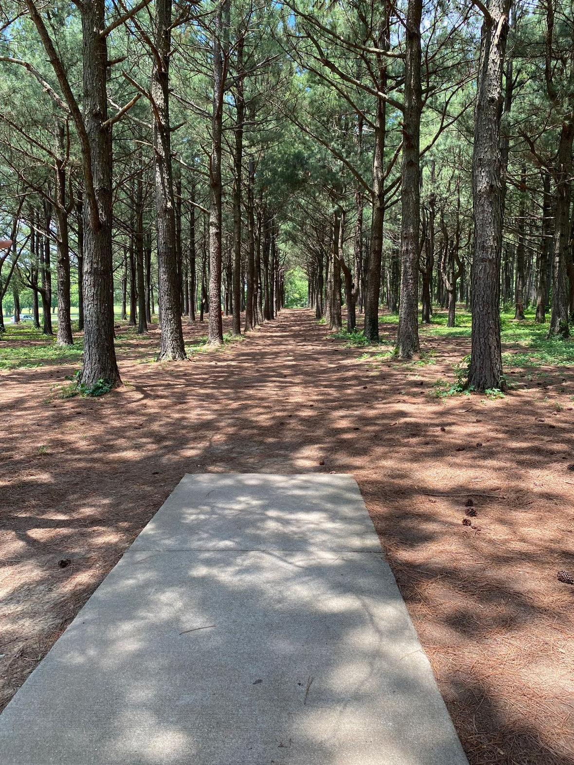 Jacobson Park