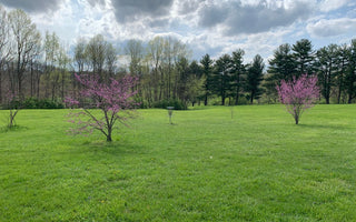 Ironworks Hills