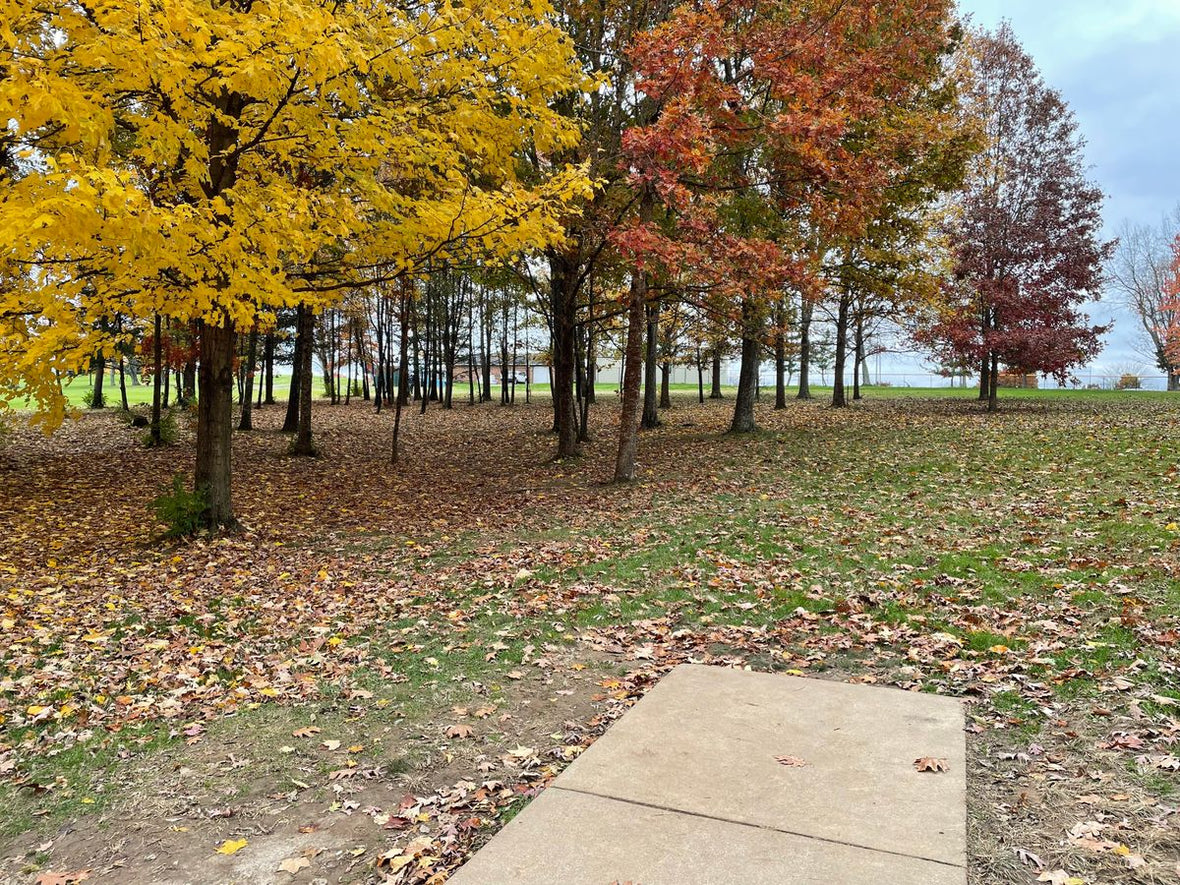 Shillito Park