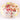 Egg Shell Allosaurus