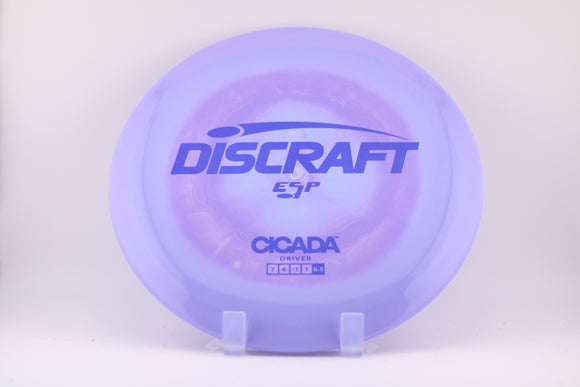 Cicada