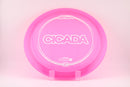 Cicada-29