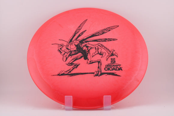 Cicada