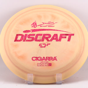 Cigarra