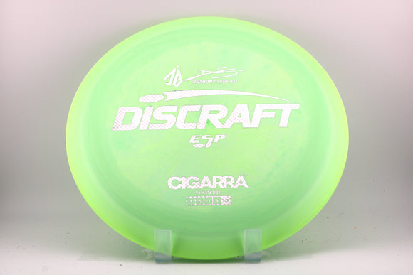 Cigarra