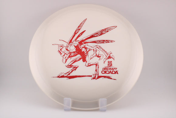 Cicada