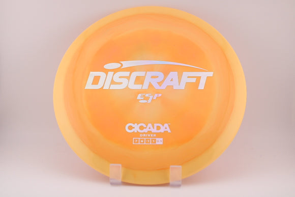 Cicada