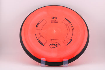 Neutron Spin