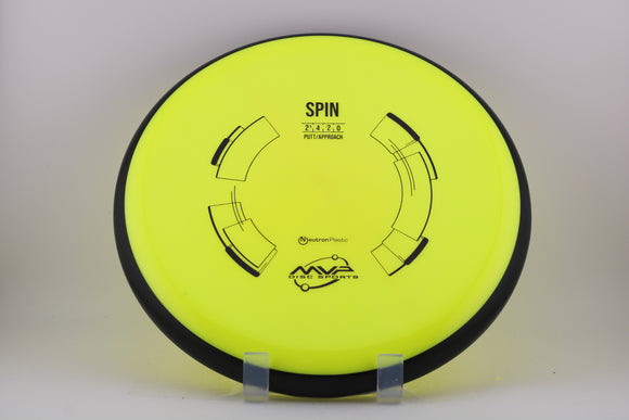 Neutron Spin