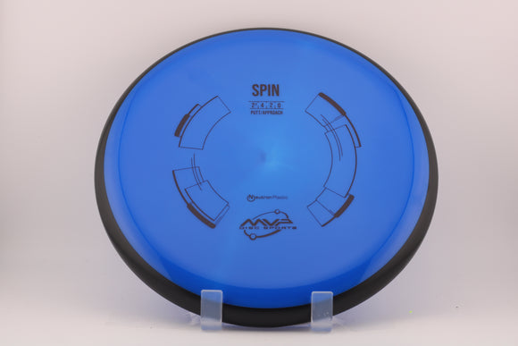 Neutron Spin