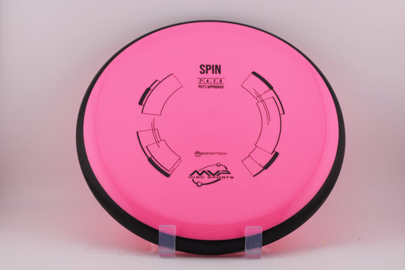 Neutron Spin