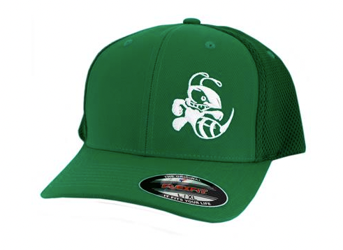 BUZZZ FLEXFIT CURVED BILL HAT