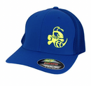 BUZZZ FLEXFIT CURVED BILL HAT-1